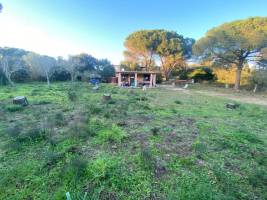 Der große Garten der Fischerhütte von Maora