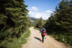 The Wicklow Way Wandeltrektocht