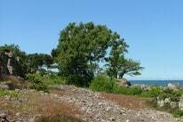 Sandkaas Familiecamping