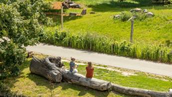 Hotel-Restaurant Les Jumeaux