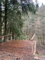 Kleine Waldecke mit isoliertem Bach in einer Waldumgebung (Natur