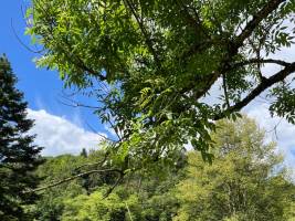Camping La Roche