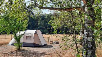 Idillyc Mikrocamping am Wald