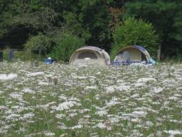 Der Ort für Ruhesuchende und Naturliebhaber!