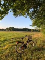 ???? Willkommen in unserem Zuhause in Saint-Aigulin!