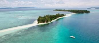 Bouwsteen 8 dagen duiken Metita Beach & Dive resort - Morotai