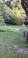 Canvas-Garten