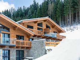 Tauernlodge Eben D3