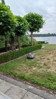 Campingplatz in Dessel, Antwerpen