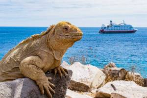 Hurtigruten Expeditie Galapagos | In de voetsporen van Darwin in