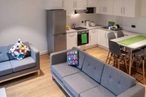 Vliegreis Goldcrest Village Apartments - Galway