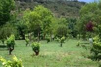 Camping Domaine d'Anglas