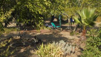 Cerca dos Sobreiros, wo Sie die Bäume, Tiere und den Himmel spre