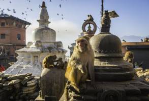 Stadstour Kathmandu