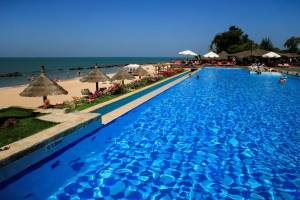 Royal Horizon Baobab