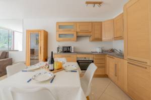 Riverside Apartment Mont Blanc View