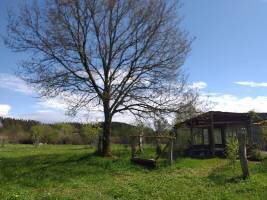 Zurück zum Wesentlichen (in den Ardennen)