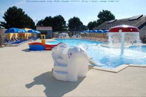 Flower Camping Vitamin