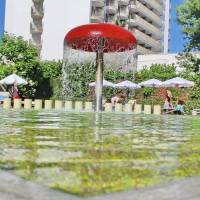 Hotel Barceló Royal Beach - all inclusive