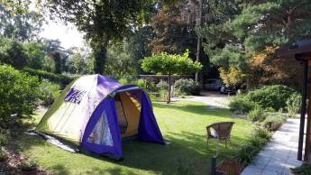 Open Court Ten Niene