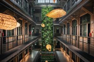 MONTOWNIA Lofts&Experience