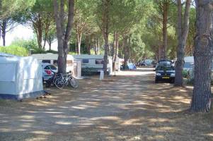 Camping De Vaudois