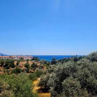 Appartementen Sunflowers