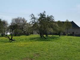 Auszeit und Stille genießen - auf dem Bauernhof