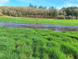 Campingplatz in Locmaria Berrien, Bretagne