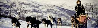 5B Tromsø Huskysafari (01dec - 31mrt)
