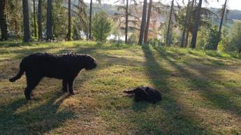 Villa (nur für Erwachsene)