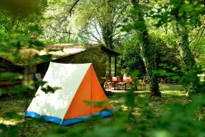 Eine ruhige Nacht, im Herzen idyllischer Gärten, für einen natür