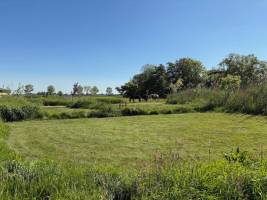 Öko-Camping mit Friesenpferden, Nahrungswald und Hühnern am Rand