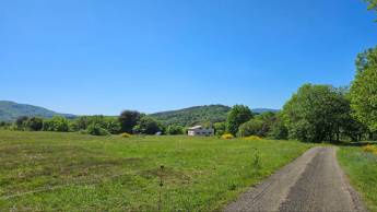 Ob im Schatten oder in der vollen Sonne – freie Sicht auf die Be