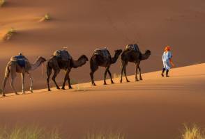 De Koningssteden & Sahara van Marokko