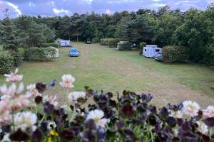 Tipperne Camping