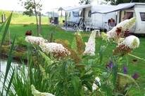 Camping Ter Leede