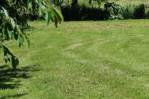 Campingplatz Zen Residence