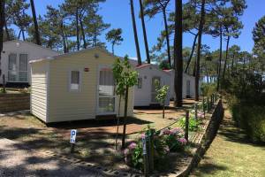 Camping Orbitur São Pedro De Moel