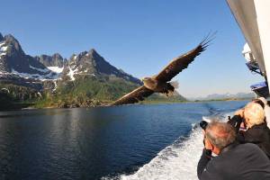 2025 Hurtigruten postschip route Zuidwaarts