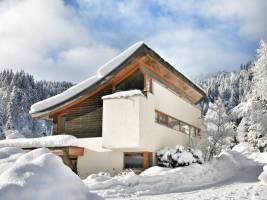 Chalet im Wald