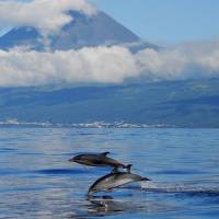 Fly & Drive Azoren - 3 eilanden - inclusief huurauto