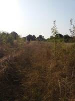 Ein Stück Natur in der Nähe von Albi