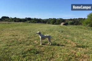 Campingplatz in Saint-Georges-d'Oléron, Neu-Aquitanien