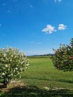 Naturcamping in Ettenau