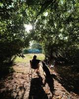 Doktor Rombauts: Übernachtung auf dem Land