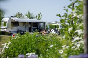 Camping Zonneweelde