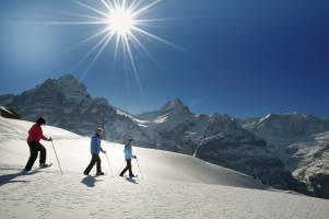 Hotel Jungfrau Lodge