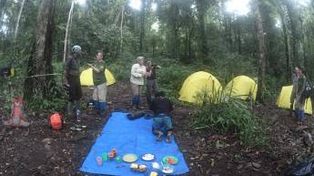 Bouwsteen 8 dagen jungletrek noord Sumatra