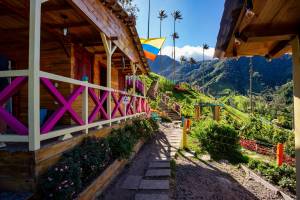 Rondreis Compleet Colombia